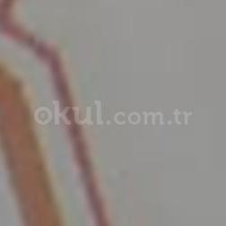 TÜRK BEYİN TAKIMI ZEKA OYUNLARI DERSİ EĞİTMEN SERTİFASI
