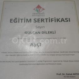 Yüksek İhtisas Üniversitesi Eğitim Sertifikası