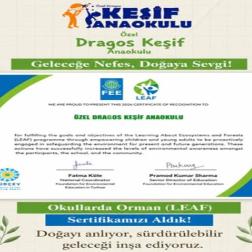 LEAF Sertifikası