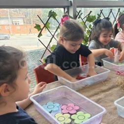 SUDA AÇAN ÇİÇEKLER DENEYİ 🌺