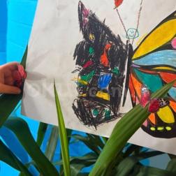 KELEBEĞİN OLUŞUMU🦋