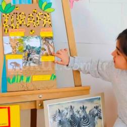 FARKLI KITALARDA YAŞAYAN HAYVANLAR