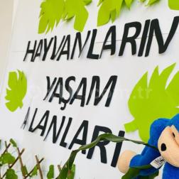 HAYVANLARIN YAŞAM ALANLARI