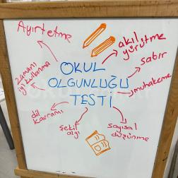 OKUL OLGUNLUĞU TESTİ