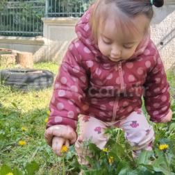 Öğrenmek Sınıflara Sığmaz: Bahçemizdeki Eğlenceli Anlar 