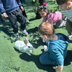 Minik Eller, Sevimli Dostlarla Buluşuyor: Doğada Hayvan Sevgisi 