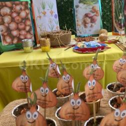 🍃 Bugün sınıfımızda soğan ekolojisini keşfettik! 🧅