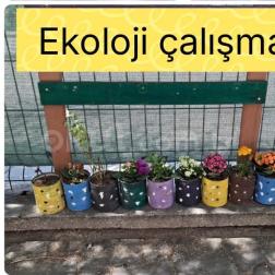 Okulumuzda Ekoloji Çalışması