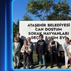 Can Dostlarımıza Sevgi Eli