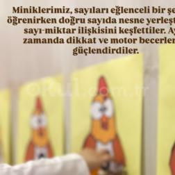 Sayı-Miktar İlişkisi