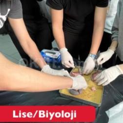 Biyoloji Dersinde Uygulamalı Eğitim