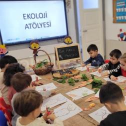 Ekoloji Atölyesi