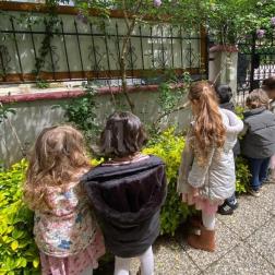 Doğanın Kalbine Yolculuk: 5 Mayıs Dünya Bitki Günü