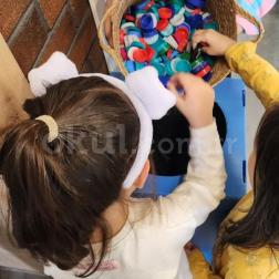 Eko-Okul Programı- Kapak Toplama Etkinliği
