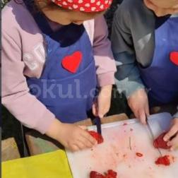 Eğlenerek Öğreniyoruz!