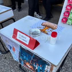 BİLİM ŞENLİĞİ