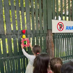 🚦 Trafik Haftası Etkinliği 🚗