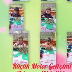 Dikkat ve Motor Becerileri Bir Arada!