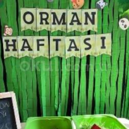Okulumuzda Orman Haftası Coşkusu!