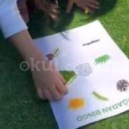 Doğa Bingosu