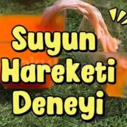 Kılcallık Etkisini Gösteren Suyun Hareketi Deneyi