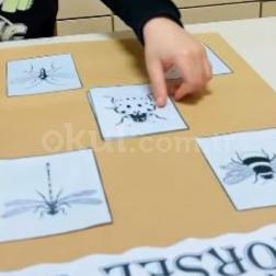 Görsel Algı Oyunları ile Erken Yaşta Dikkat Gelişimi