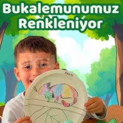 🦎 Renklerini Keşfeden Bukalemunlar!
