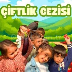 👩‍🌾 Minik Eller Toprakla Buluşuyor! 🍆