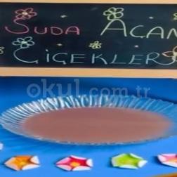 🌸 Suda Açan Çiçekler Deneyi! 🌸