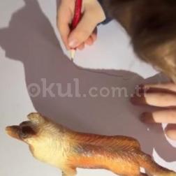 Gölge Avcıları İş Başında! 🐾✨