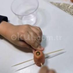 Havuç Çimlendirme Maceramız Başladı! 🥕🌿✨