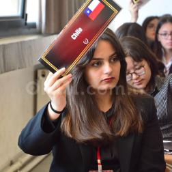 Öğrencilerimiz BIGMUN’26 ve FLMUN’26 Konferanslarında Okulumuzu Temsil Etti