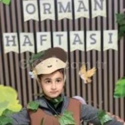 Miniklerimizle Harika Bir Orman Haftası Geçirdik! 🌳✨