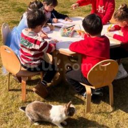 🎨 Ateş ile Bahçede Sanat Saati! 🐇