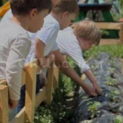 Minik Bahçıvanlar İş Başında! 🌱