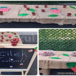 🍓 Miniklerle Çilek Festivali Coşkusu! 🎉