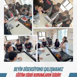 Laboratuvarda Derinlemesine Bilim: Beyin Diseksiyonu Çalışmamız!