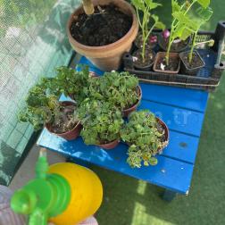 🌱 Toprağa Dokunduk, Hayatı Öğrendik 🌿