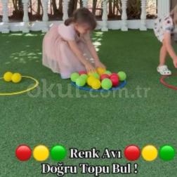 Renk Avı: Doğru Topu Bul Etkinliğimiz