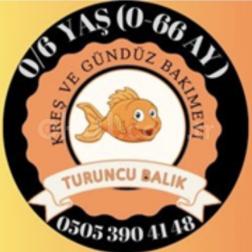 🍐 Dalından Sofraya, Doğanın En Güzel Hediyesi 🍐