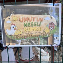 🐔🌿 Bahçemize yeni misafirlerimiz geldi! Artık minik kümesimizde sevimli tavuklarımızla doğayla iç içe öğreniyor, keşfediyor ve büyüyoruz. 🥚✨