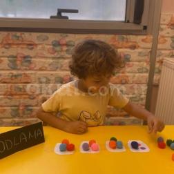 Renkli Ponponlar, Eğlenceli Kodlar: Bilgisayarsız Kodlama Yapıyoruz! 🚀