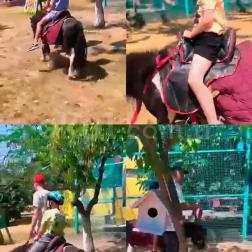 Binicilik Dersi Etkinliğimiz