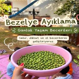 🌱 Günlük Yaşam Becerileri Etkinliğimiz 🌱