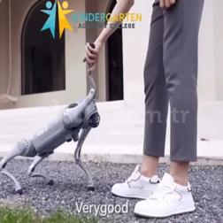 🤖 Robotik Kodlama ve Yapay Zekâ ile Tanışıyoruz