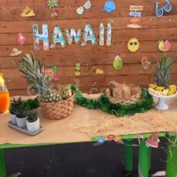 🌺🌴 Hawaii Partimiz