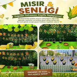 🌽 Mısır Şenliğimiz