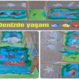 🌊🐠 Denizde Yaşamı Keşfediyoruz