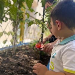 ANKA’S GARDEN