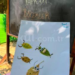YAPRAK BÖCEKLER